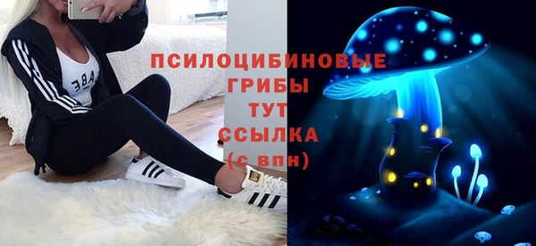 дмт Армянск