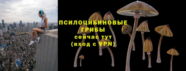 дмт Армянск